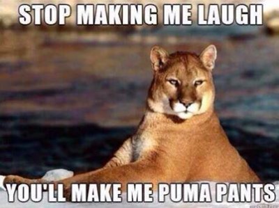 Puma Pants.jpg