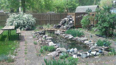 IMG_20140511_150015_431.jpg (1.74 MiB) Viewed 6225 times IMG_20140511_150015_431.jpg